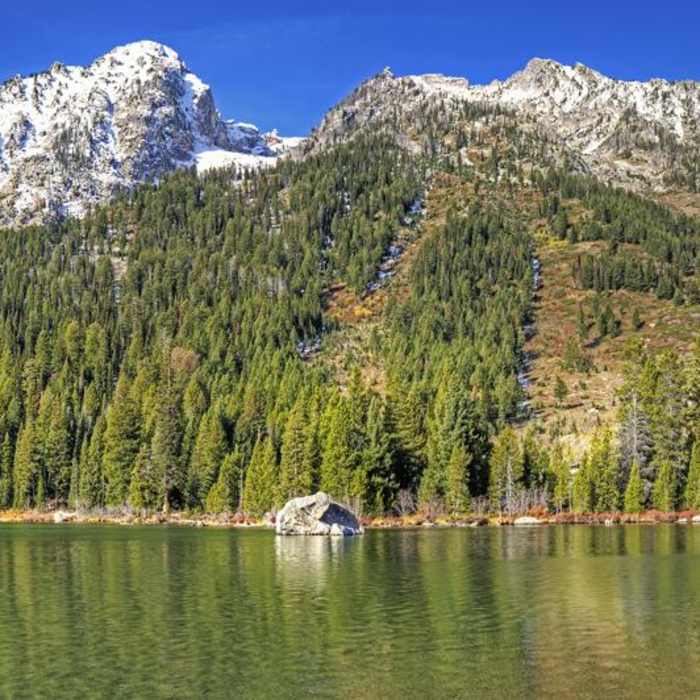 Near Inspiration Point via Leigh Lake Trailhead