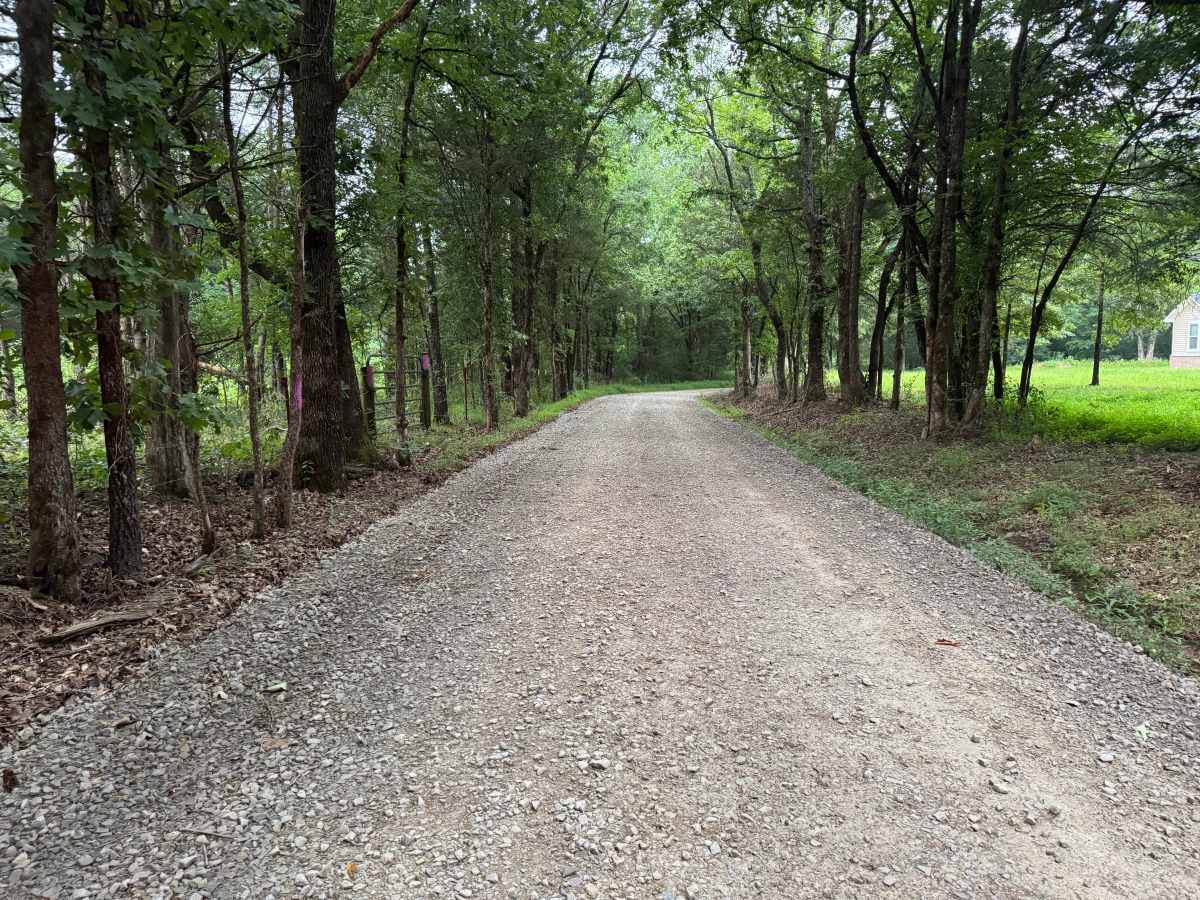 County Road 3339 photo 4
