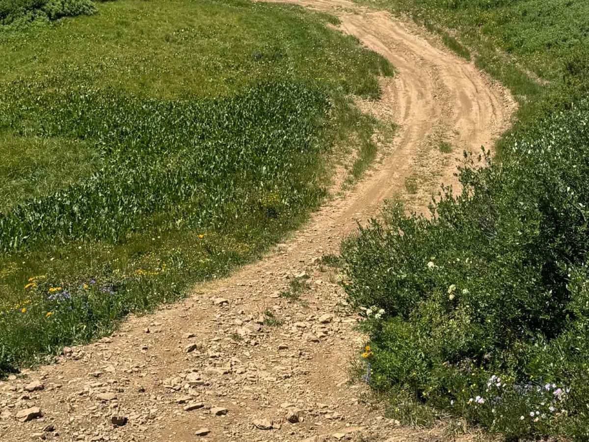 Blue Lake Trail photo 3