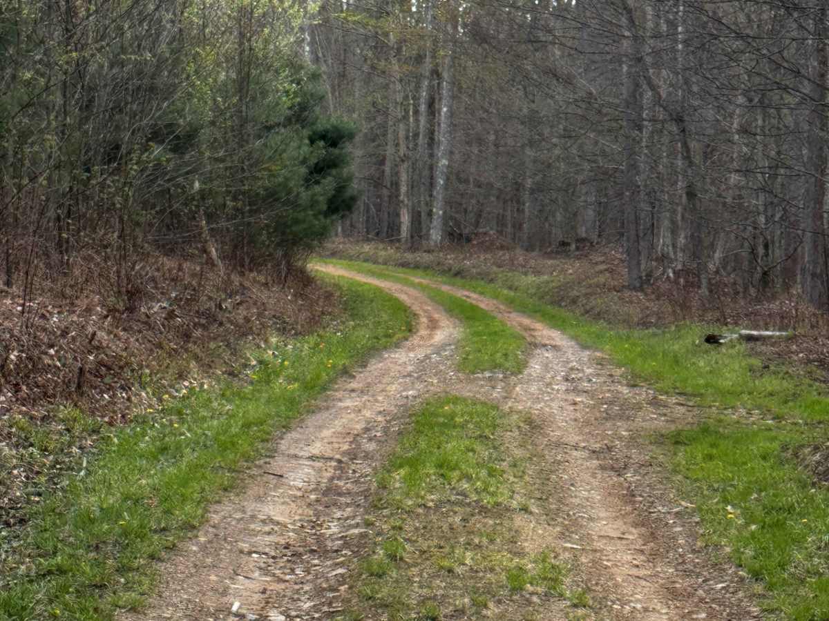 Little Daugherty Road photo 6