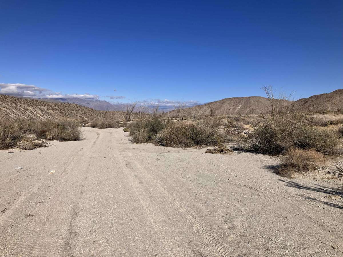 Pinyon Canyon photo 4