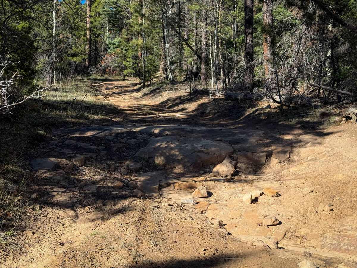 Eureka East  photo 2