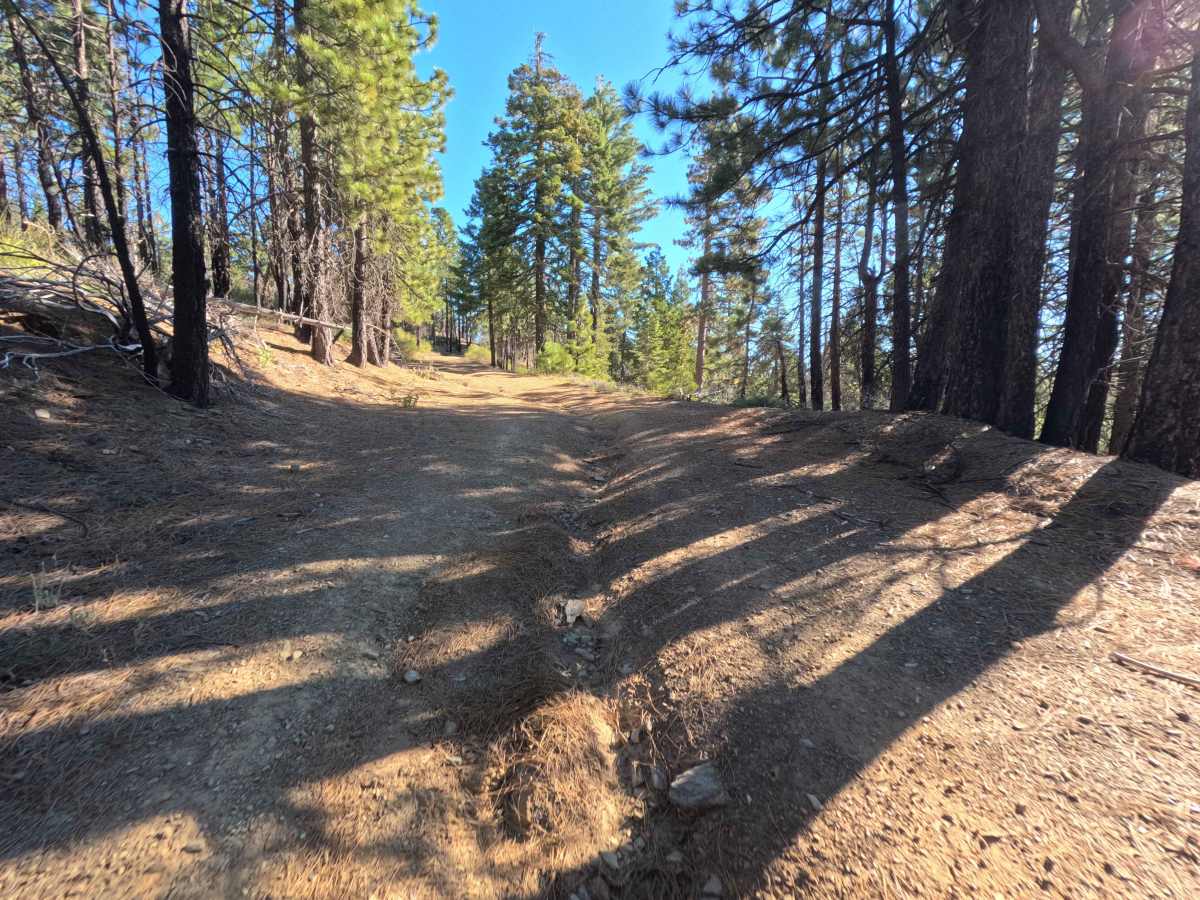 Copper City - FS 22N03 trail photo