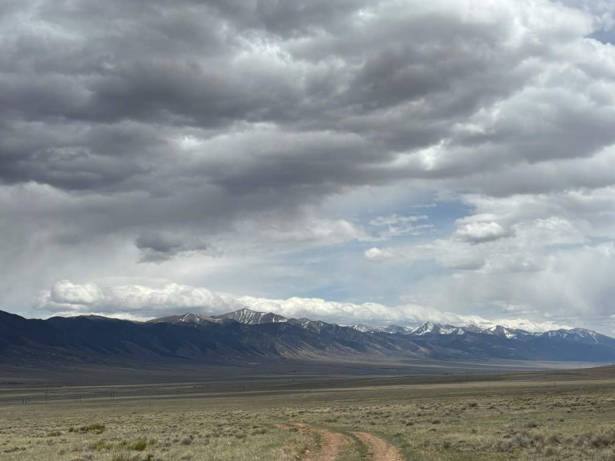 Wild Bill Gulch Road photo 3
