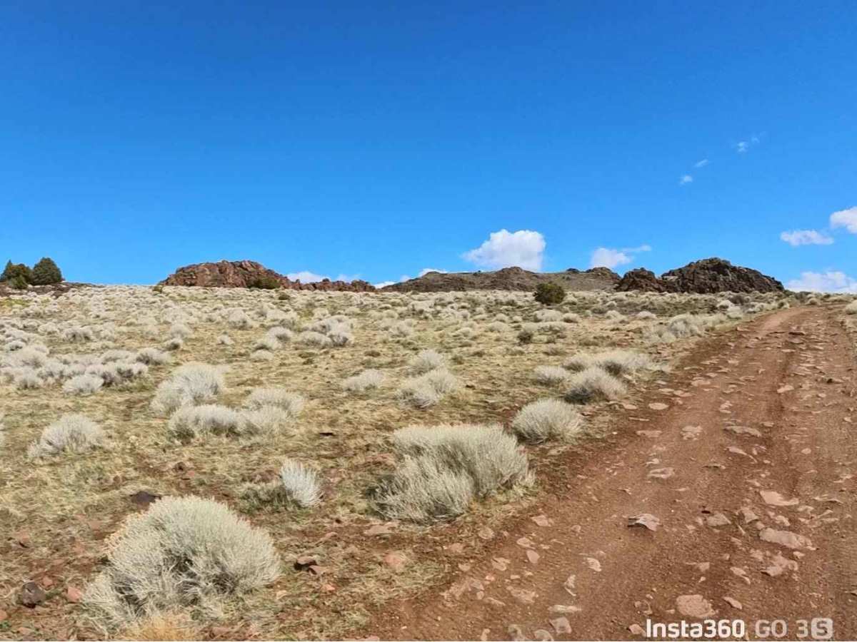 Rocky Glyph trail photo