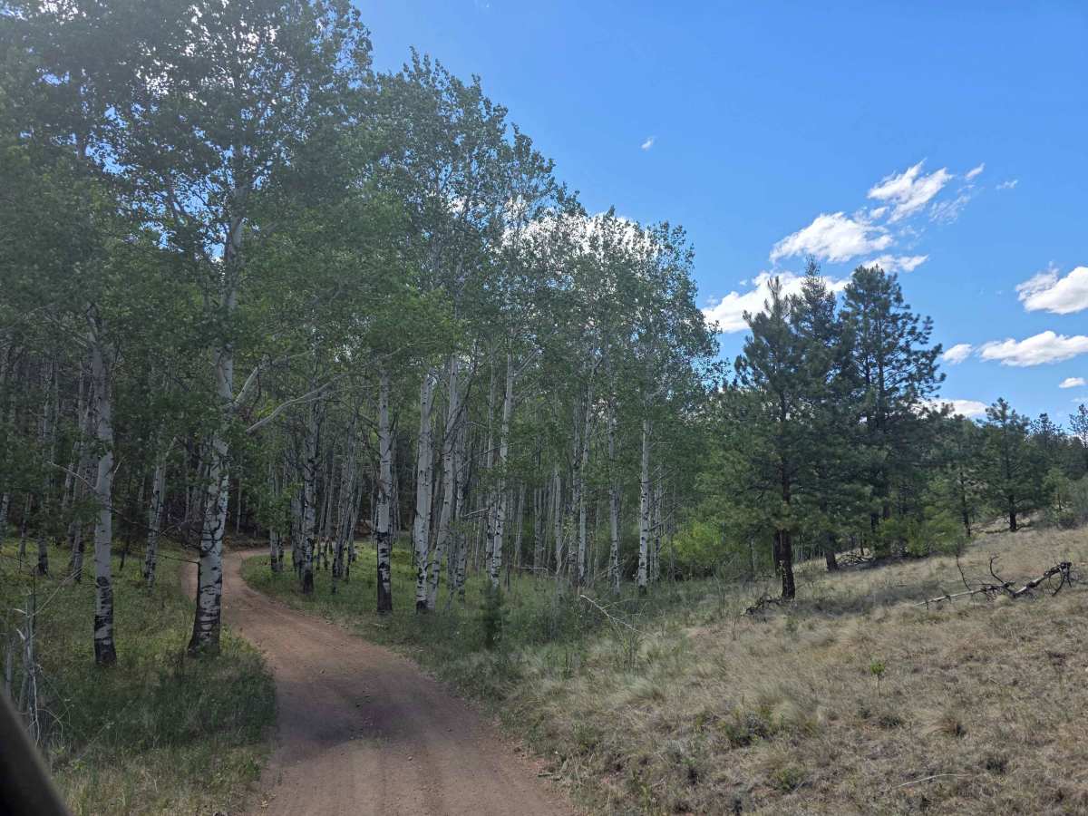 Dutch's Hair Road - FS 244E trail photo