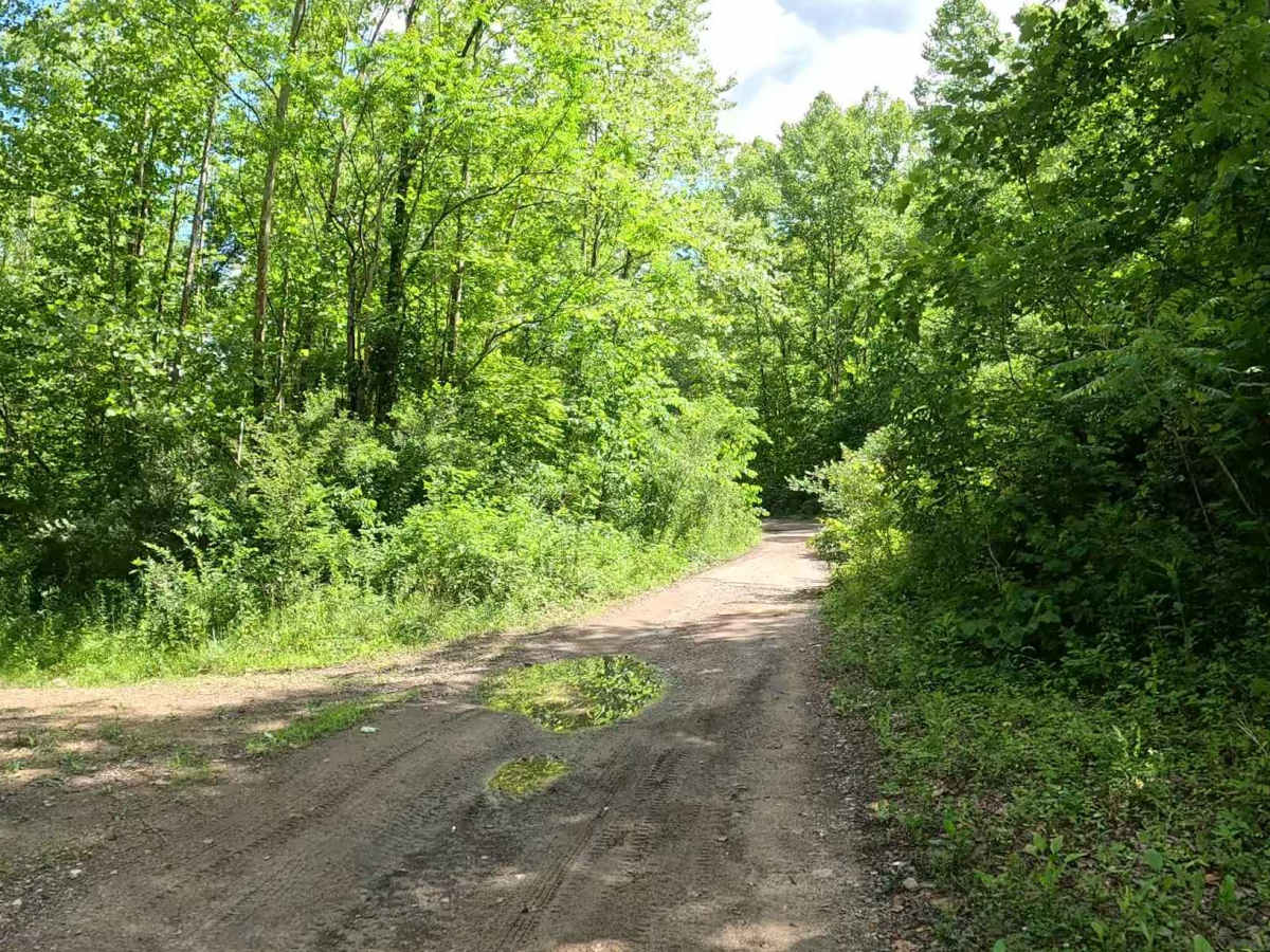 W12 trail photo
