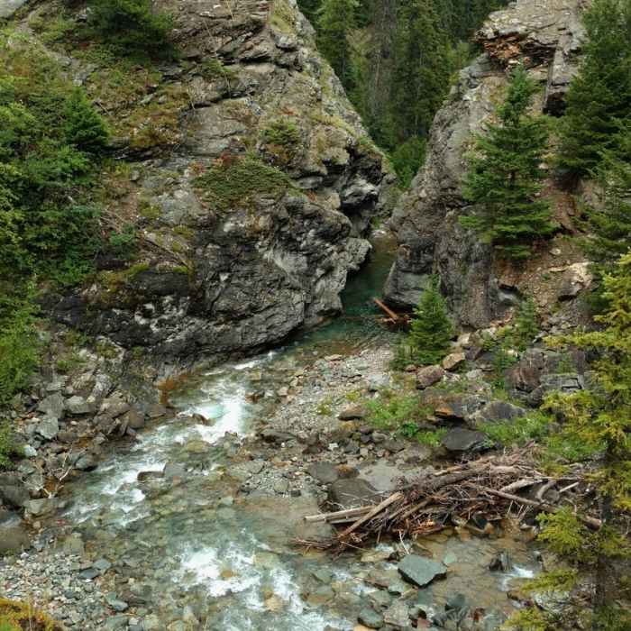 Near Blakiston Falls