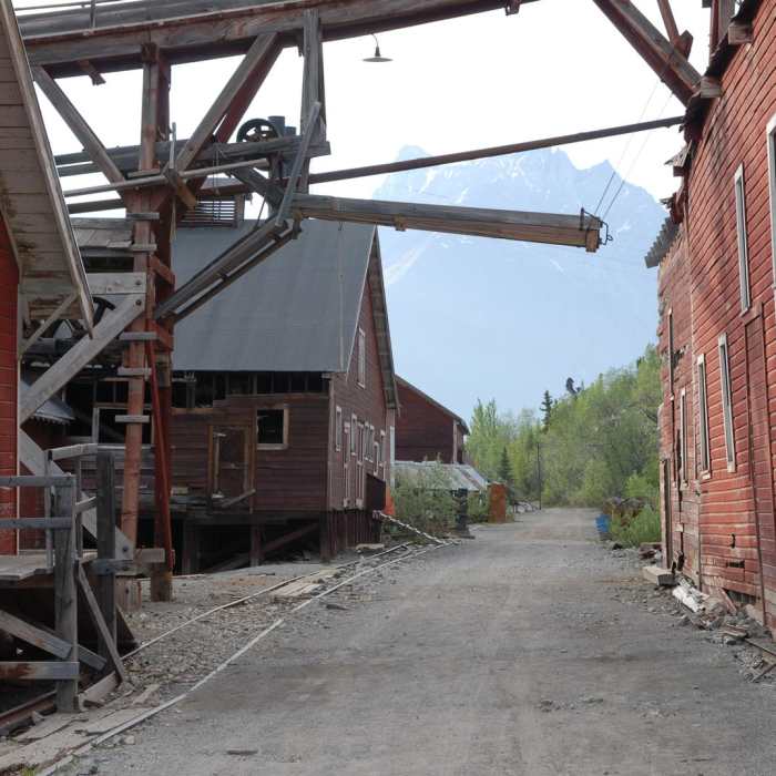 Near Root Glacier Trail Near Root Glacier Trail