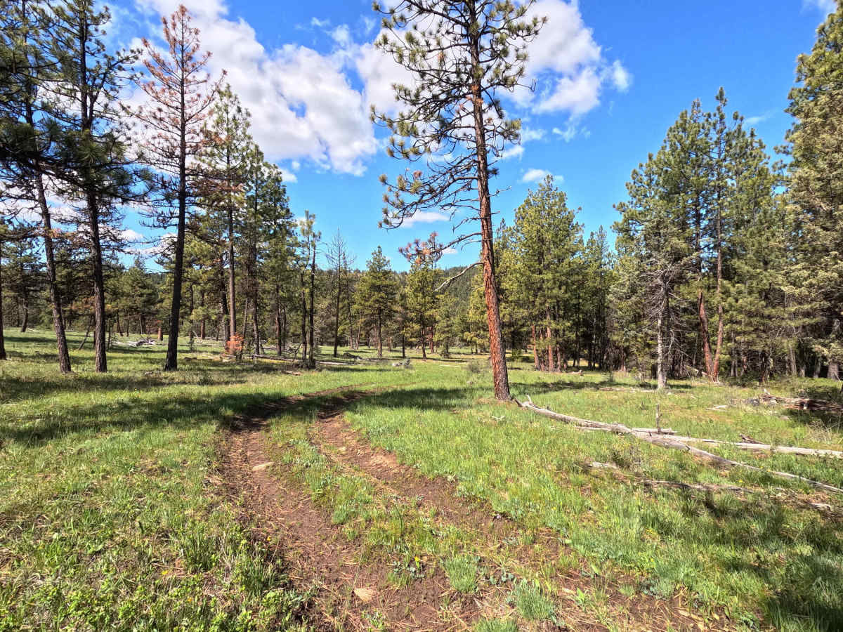 Trail 86 photo 3