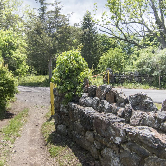 Near Jessup/Highlands/Long Path Trail