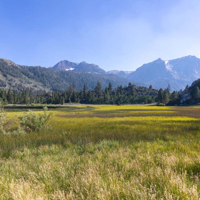 Near Gull Lake Trail