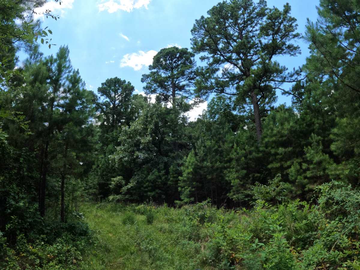 Turkey Ridge photo 4