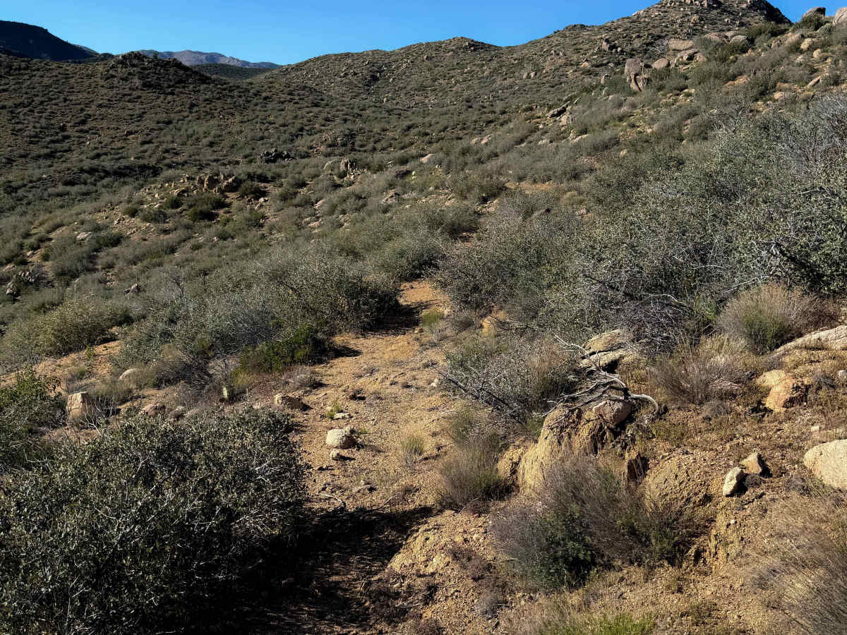 Sheridan Mountain #11  photo 6