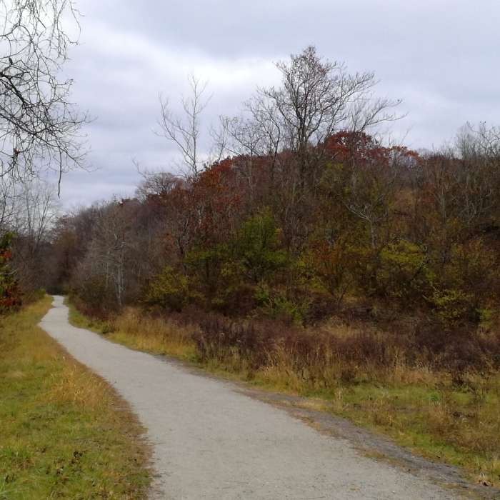 Well, Pittsburgh completely disappeared! Near Nine Mile Run Trail