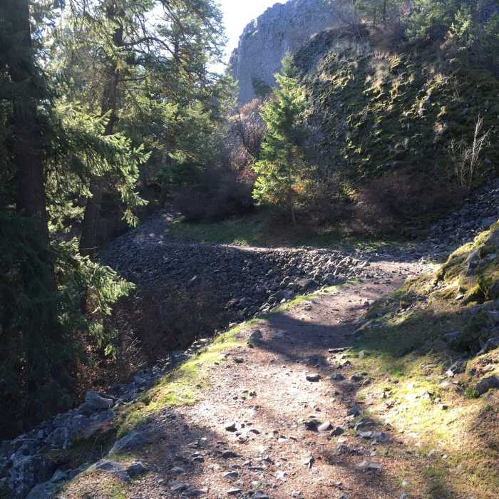 Near Trail 100