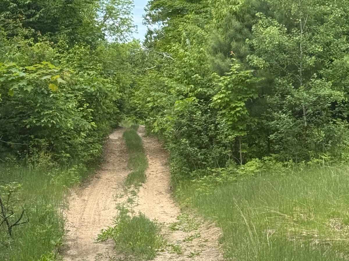 Townline Trail photo 6