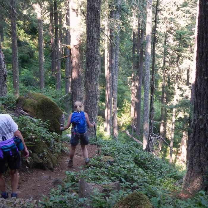 Near Marys Peak via North Ridge Trail