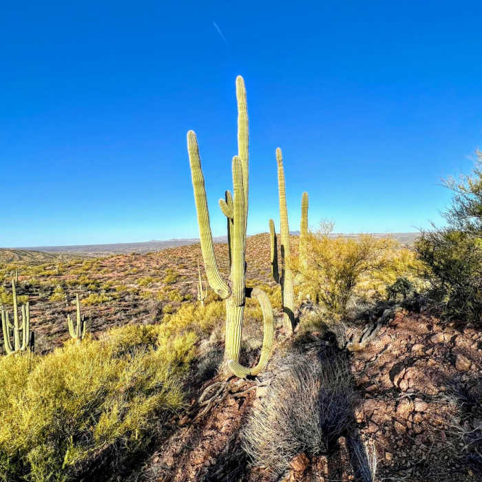 Near Arizona Trail Passage 14: Black Hills
