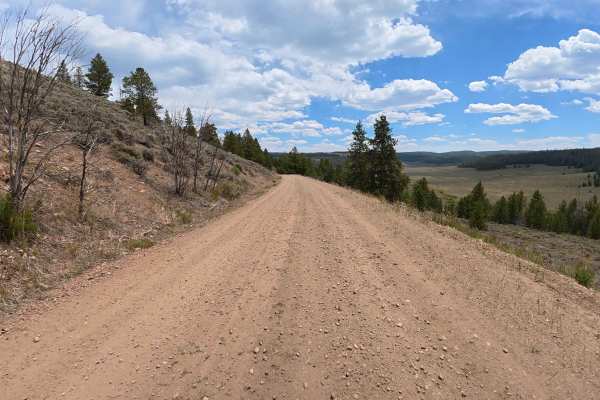 Spruce Divide Road - FS 275