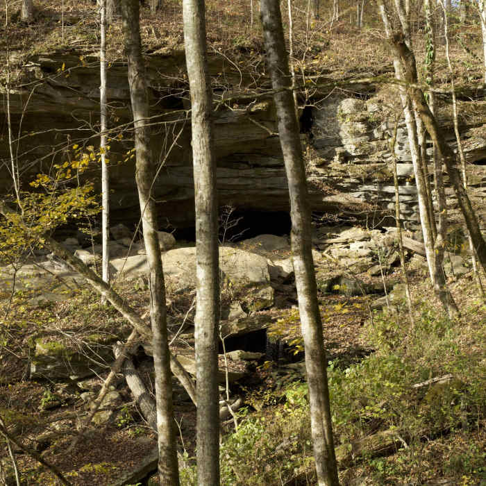 Near Bunkum Cave Loop Trail