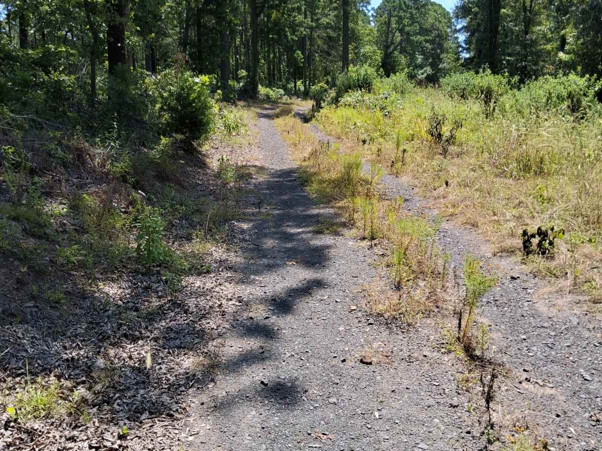 Eoff Road photo 3