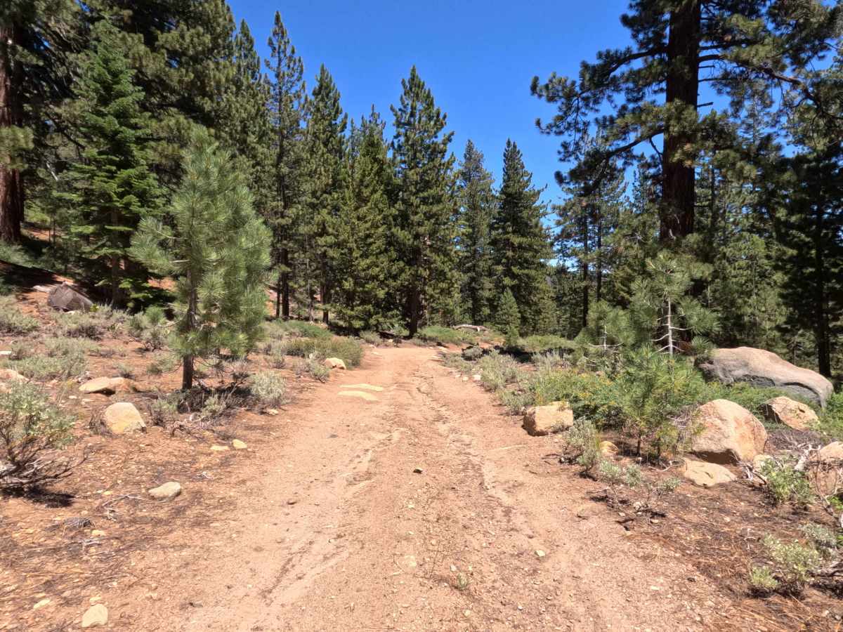 Horseshoe Road - FS 31079B photo 6