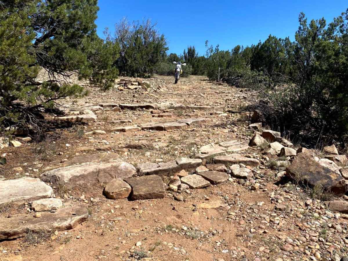 El Cerrito Area of Santa Fe National Forest photo 2