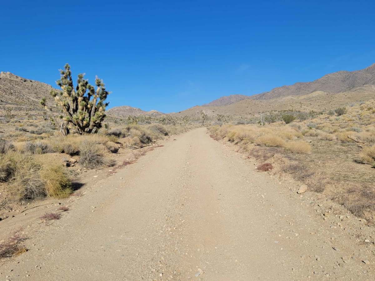West Mtn Side Trail photo 6