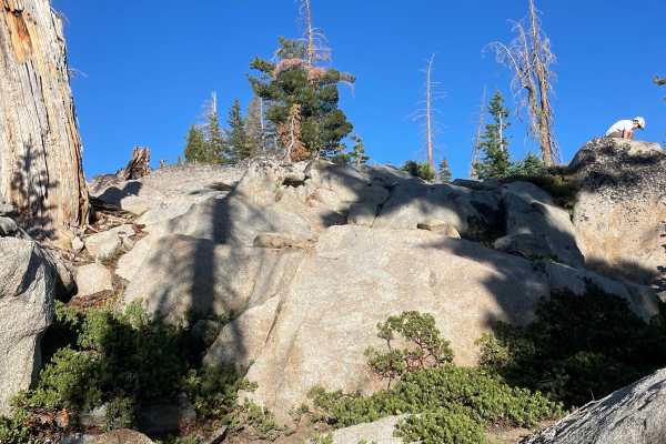Buck Pasture Trail (West)