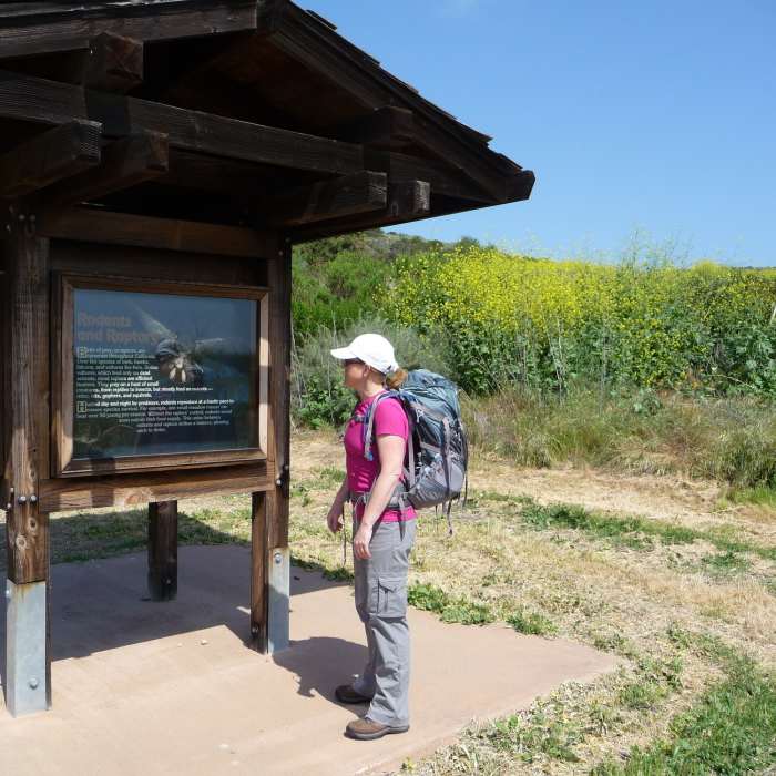 Near Crystal Cove Loop
