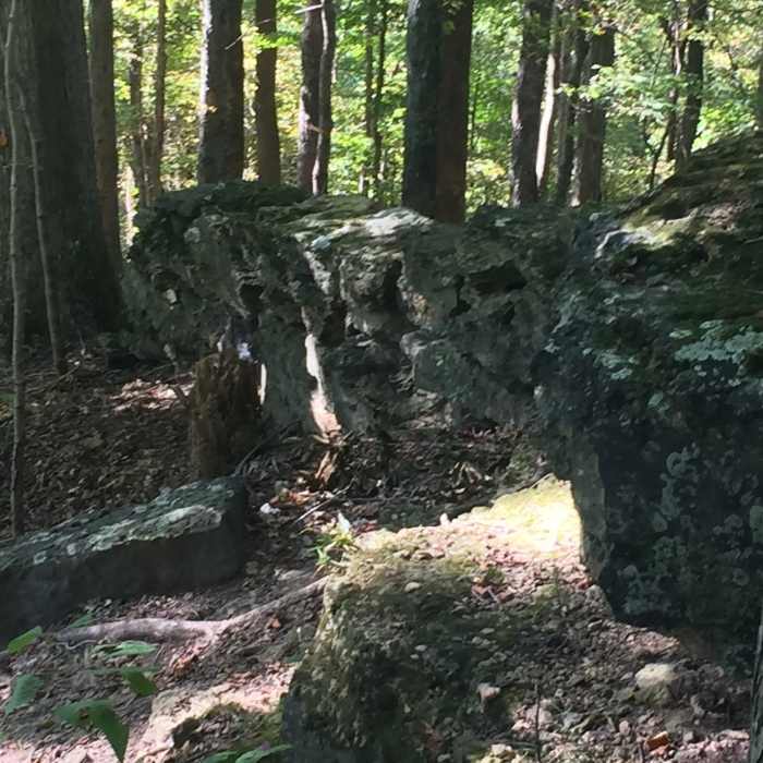 Near Edgar Evins Loop