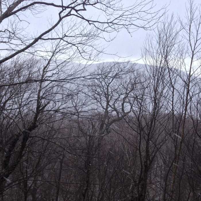 Near Balsam Mountain