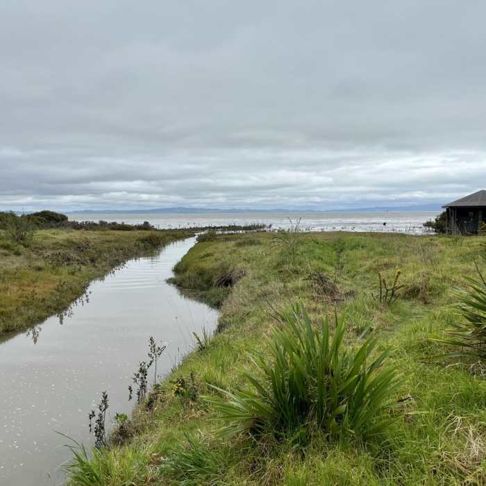 Near Thames Coastal Walkway