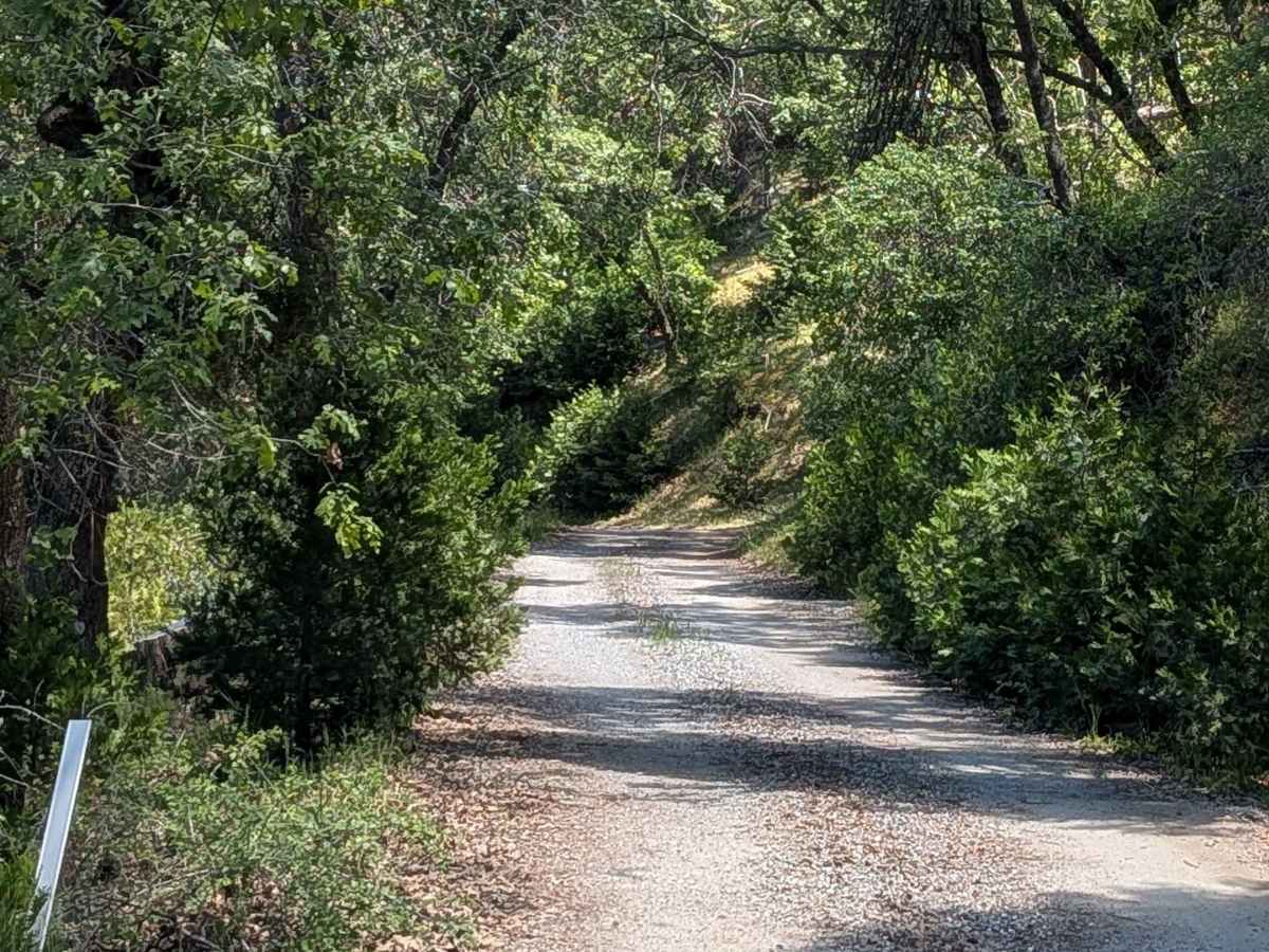 Capinero - FS 23S05 trail photo