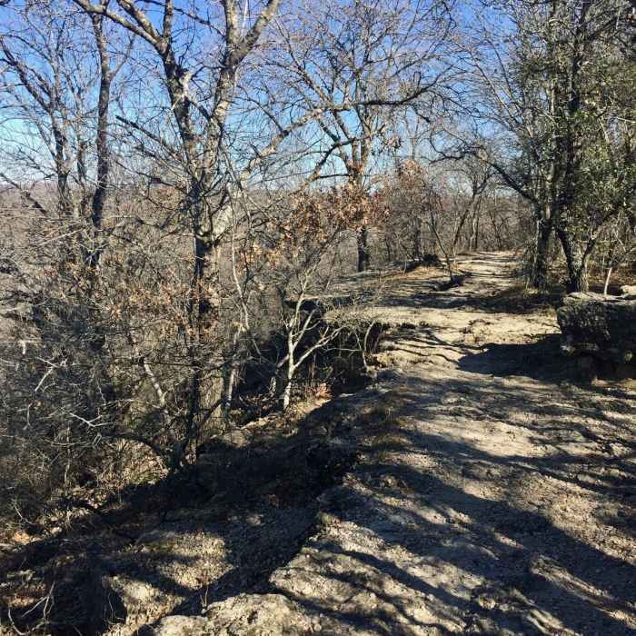 Near Crosstimbers Trail