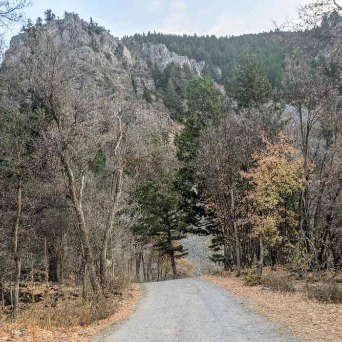Near Providence Canyon