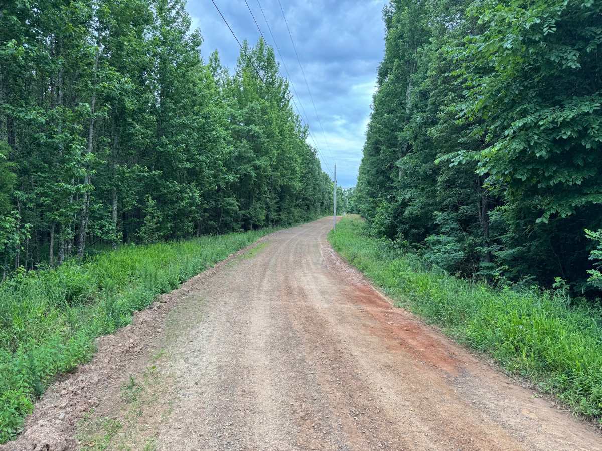 County Road 4141 photo 5