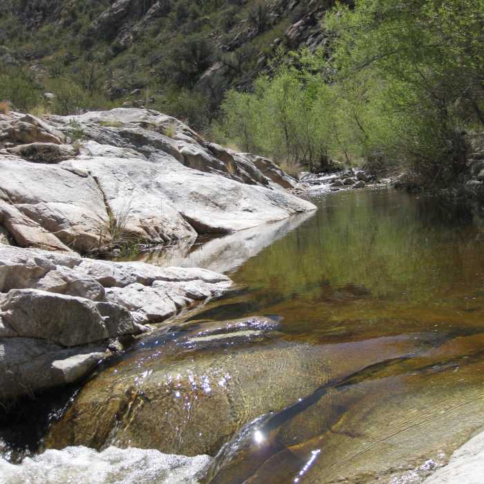 Near Sutherland Trail #6