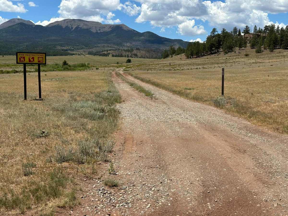 Ponderosa Road trail photo