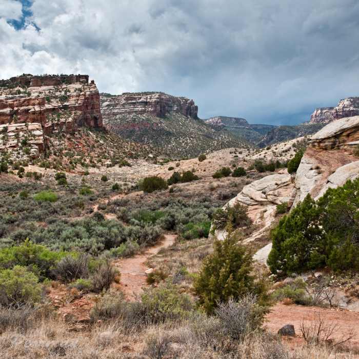 Turning onto the start of No Thoroughfare Canyon Trail. with permission from Peter B. Pearman Near Old Gordon Trail