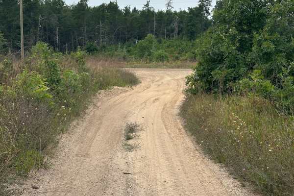 Hill Drive 