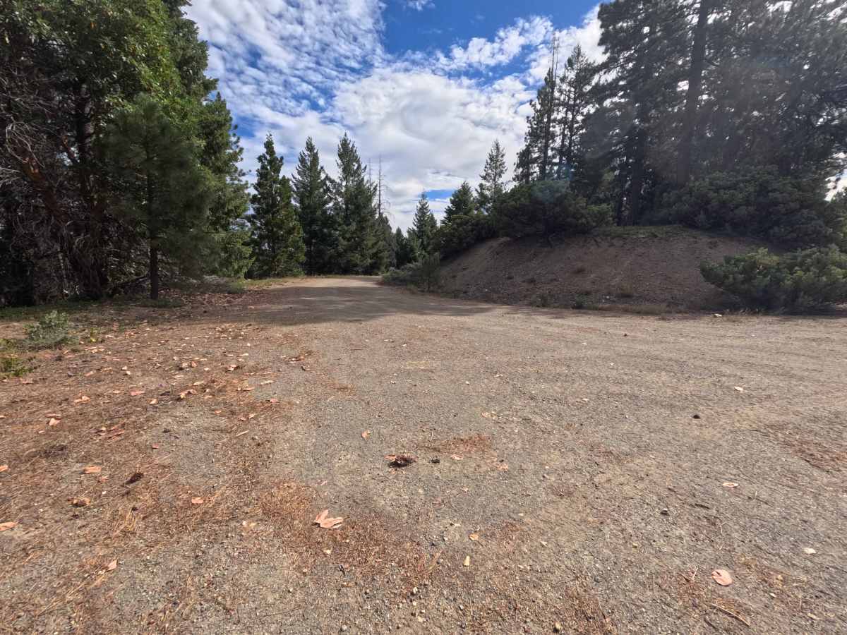 Sheep Creek - FS 20N09 photo 2