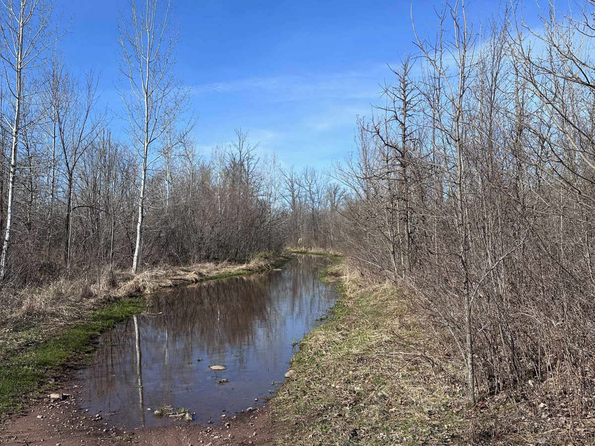 Trout Brook Trail photo 3