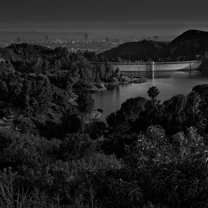 Near Wisdom Tree and Hollywood Sign Loop