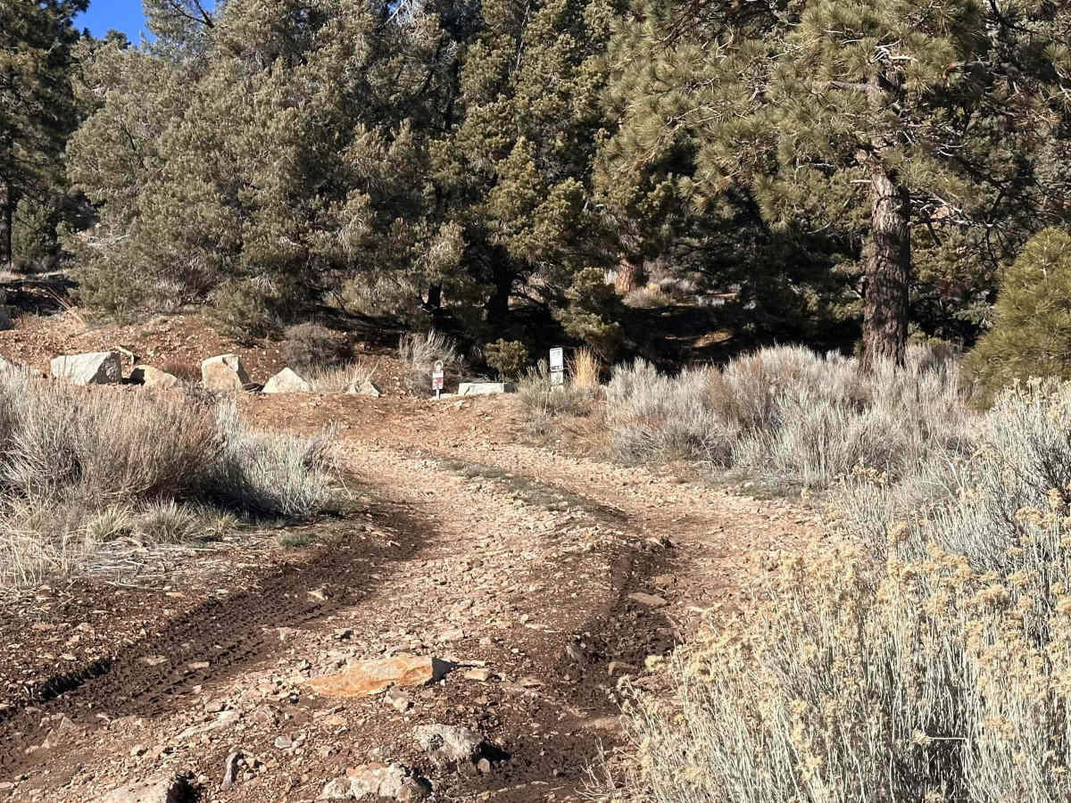 Gold Mountain - FS 3N69 trail photo