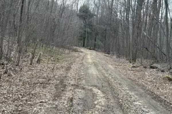 Colby Run - FS 02338