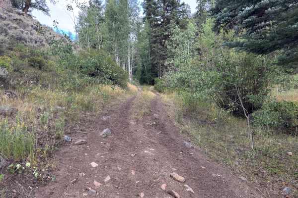 East Willow Creek