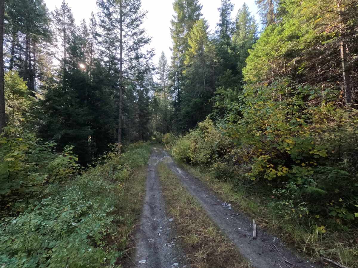 Kidney Pond Road photo 5