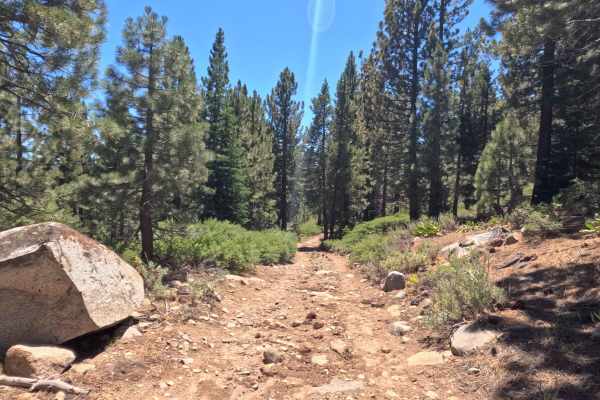 Horseshoe Road - FS 31079B